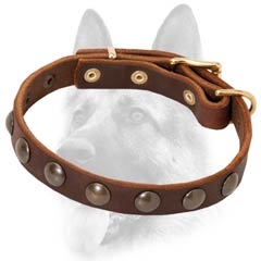 Fashion leather dog collar studded