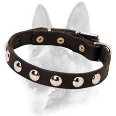 Designer leather dog collar with awesome studs