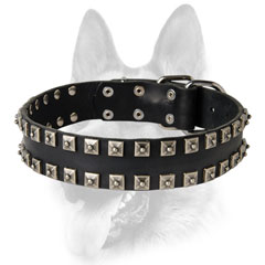 Leather studded dog collar - designer supply in caterpillar style
