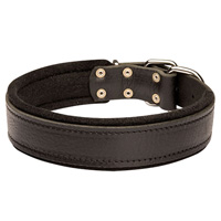 Schutzhund Padded Leather dog collar with thick felt
