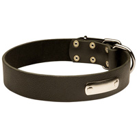 Leather dog collar with id tag