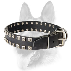 Decorated leather dog collar with sturdy buckle and D-ring