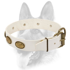 Leather dog collar white with adjustable gold-like buckle