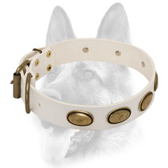 Extra strong leather white dog collar with gorgeous plates