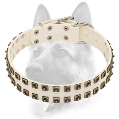 White leather dog collar with studs