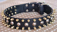 3 Rows brass spikes Leather dog collar with studs 3 Rows brass spikes Leather dog collar with studs