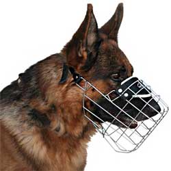 Wire basket dog muzzle for Schutzhund training