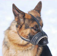 Paddde Nappa Leather Dog Muzzle best comfort muzzle Paddde Nappa Leather Dog Muzzle best comfort muzzle