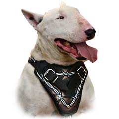 Most technologically advanced harness on the market