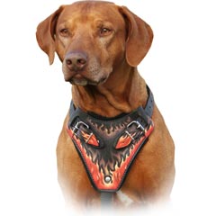 Comfortable felt padded leather dog harness