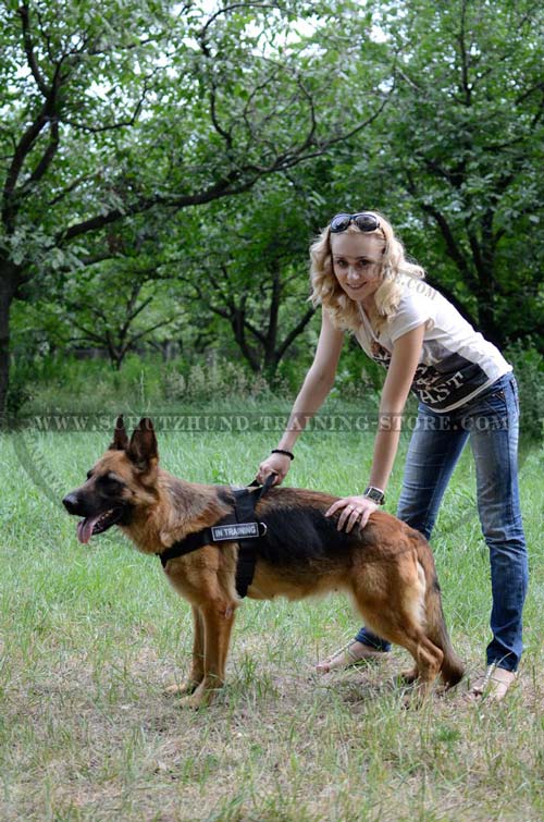 Safety Walking Dog Harness