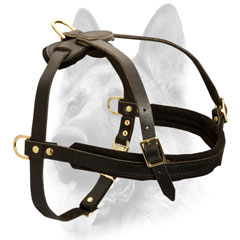 Luxury handicraft leather dog harness
