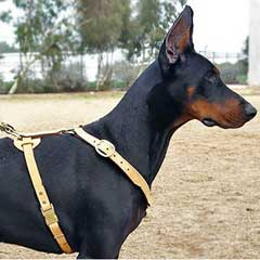 Safety tracking leather dog harness