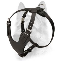 Well-built comfortable leather dog harness