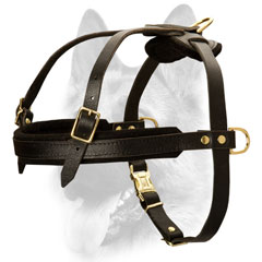Wearproof fully leathern dog harness