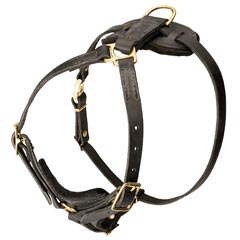 Well-built leather walking dog harness