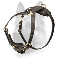 Well-built leather walking dog harness
