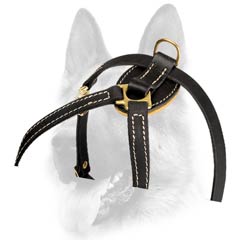 Well-fitting breathable leather dog harness