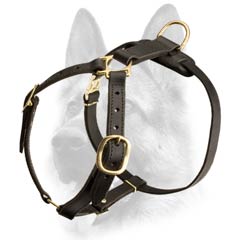 Lightweight adjustable leather dog harness 