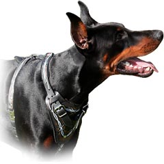 Comfortable free breathe leather harness
