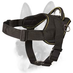 Multifunctional nylon dog harness