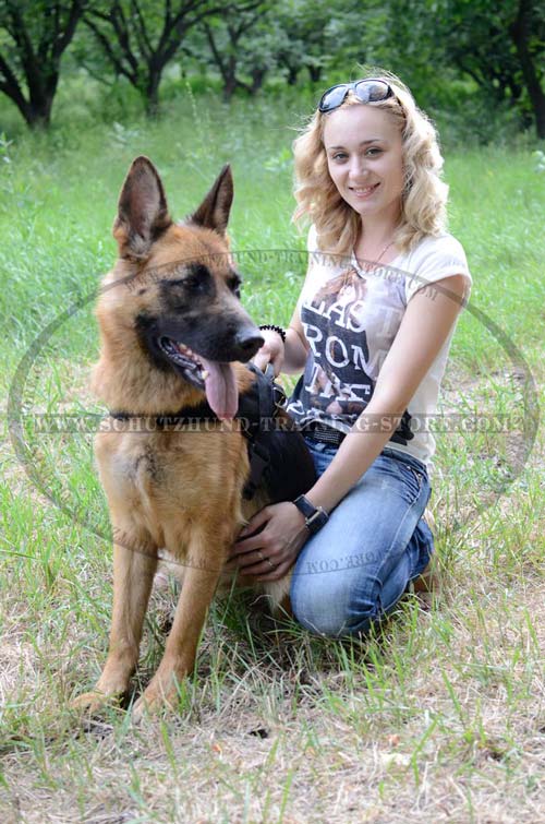 Dog Harness Nylon Lifetime Washable for German Shepherd