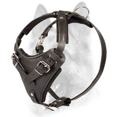 Long-life leather dog harness