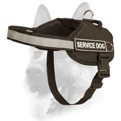 Designer security nylon dog harness