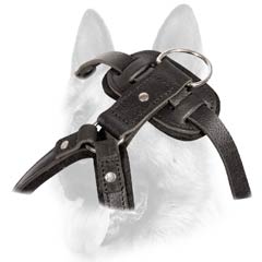 Prime quality safe dog harness