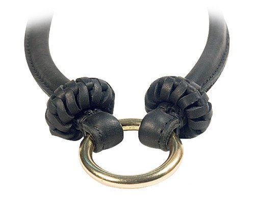 Durable brass O-ring for reliable leash attachment