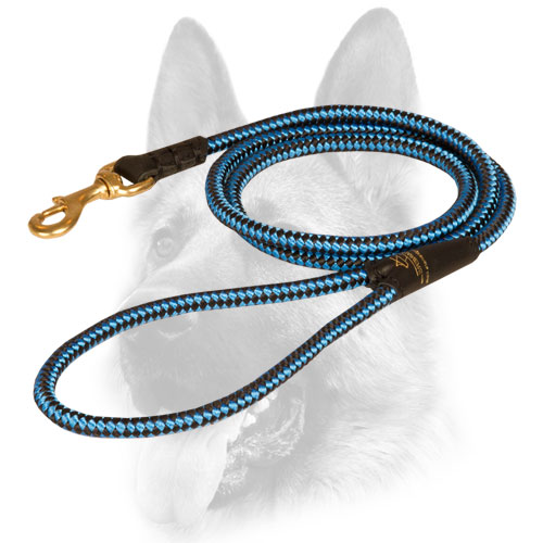 Bright innovative design of dog leash