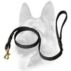 Gold color fittings for Dog leash