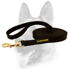 Any weather material for dog leash