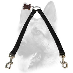 Nickel plated fittings for dog leash