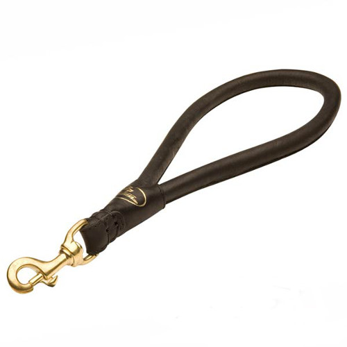 Durable leather dog lead for better control
