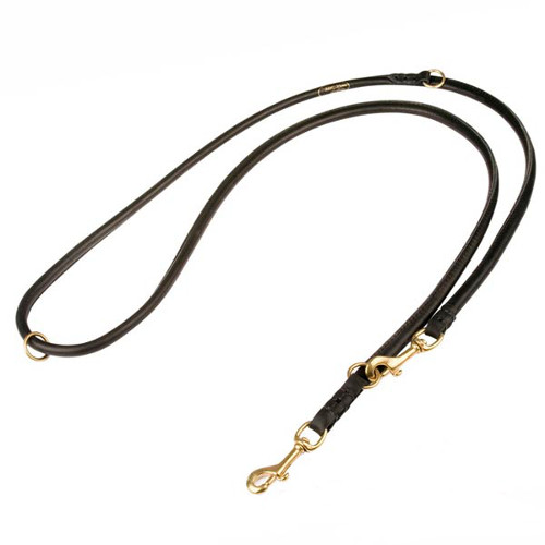 Durable leather leash for dog control