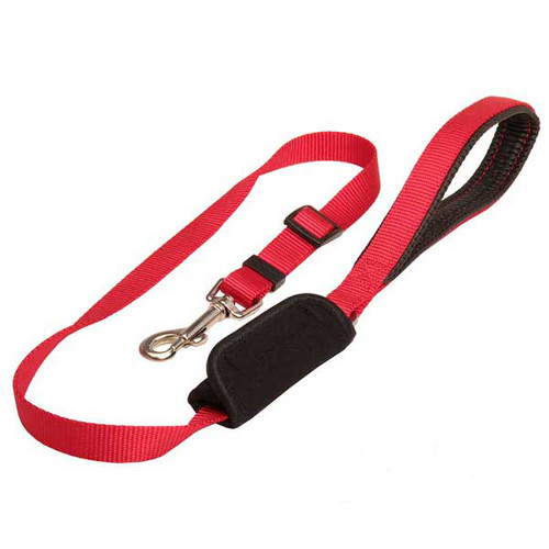 Durable nylon leash for dog restraining in the car