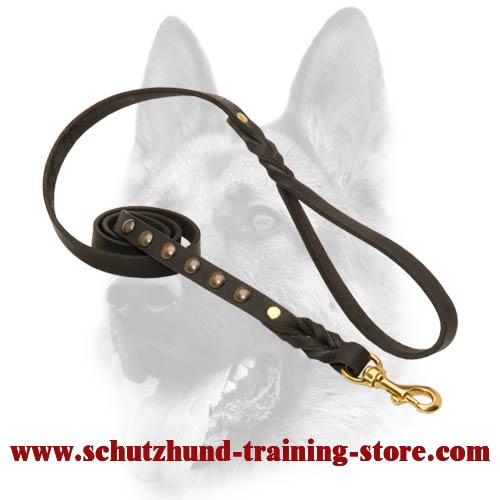 Universal leather leash for large dogs