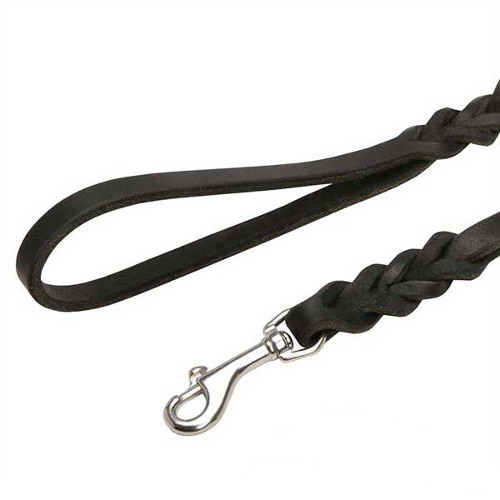 Leather dog leash with non-rusting snap hook