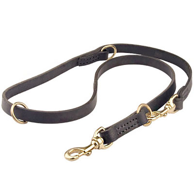 Leather Leashes Schutzhund
