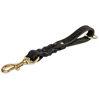 Short leather dog leash (pull tab leash)