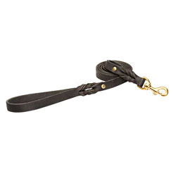 
Handcrafted   brown leather dog leash for walking and tracking 