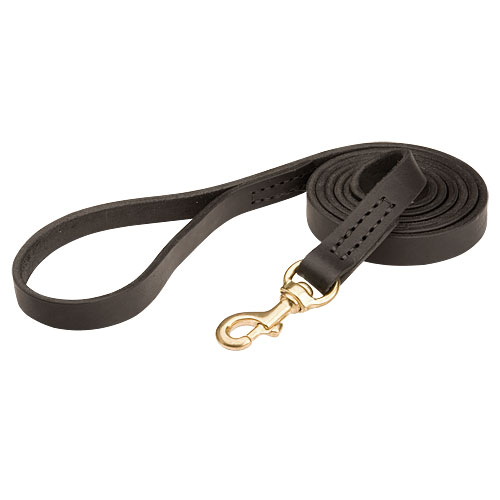 Very comfortable walking dog leash 