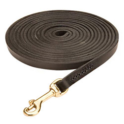 Schutzhund Leather dog leash for tracking/training