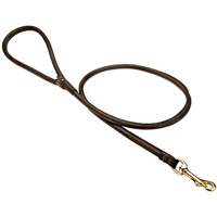 Very comfortable walking dog leash 