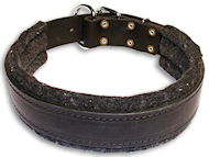 Schutzhund Padded Leather dog collar with thick felt Schutzhund Padded Leather dog collar with thick felt