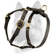 Luxury Handmade Leather Dog Harness for Schutzhund Training Luxury Handmade Leather Dog Harness for Schutzhund Training