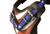 Leather Harnesses