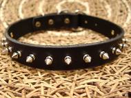 Medium Leather Spiked Dog Collar- 1 Row of spikes collar Medium Leather Spiked Dog Collar- 1 Row of spikes collar