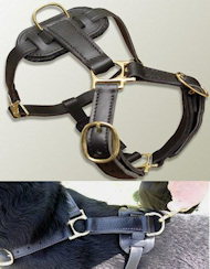 Right Leather tracking harnesses for Schutzhund Training Right Leather tracking harnesses for Schutzhund Training
